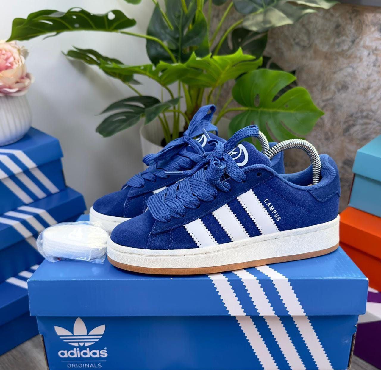 Adidas Campus